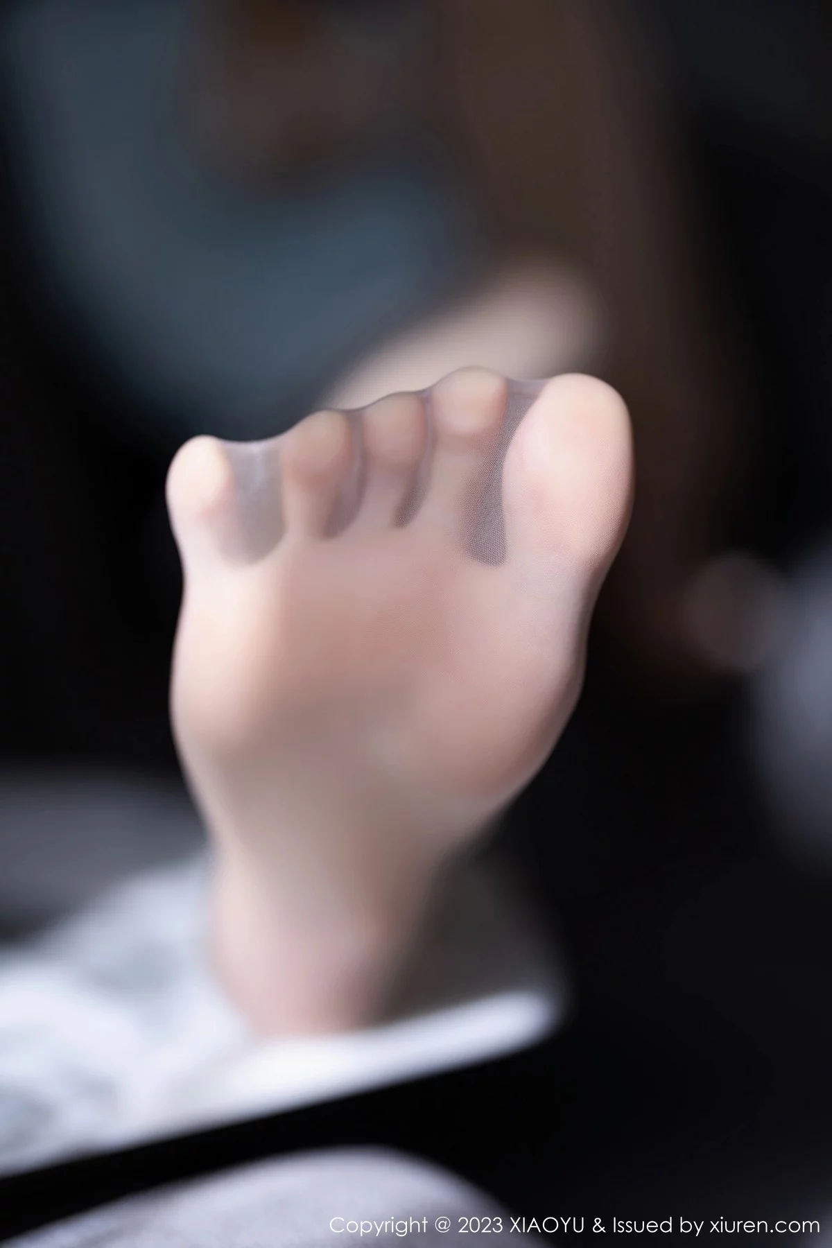1636849